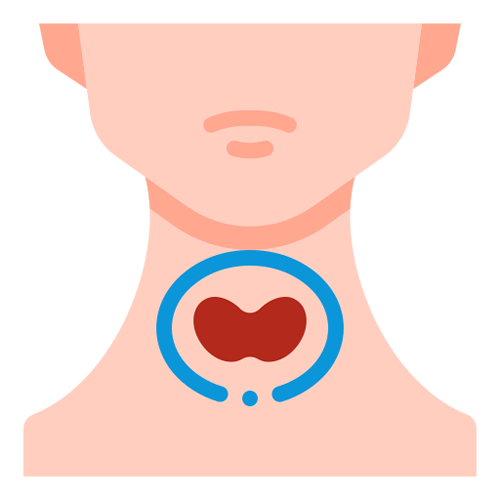 treatments and prescriptions for Hypothyroidism treatments and prescriptions for Hypothyroidism