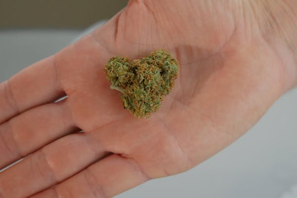 medical cannabis dispensary